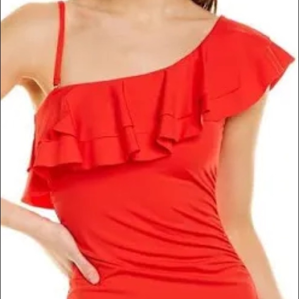 Tahari Swimsuit L